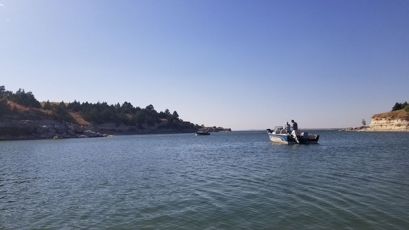 Cabins, Camp Stores, And Rentals Around The Shore