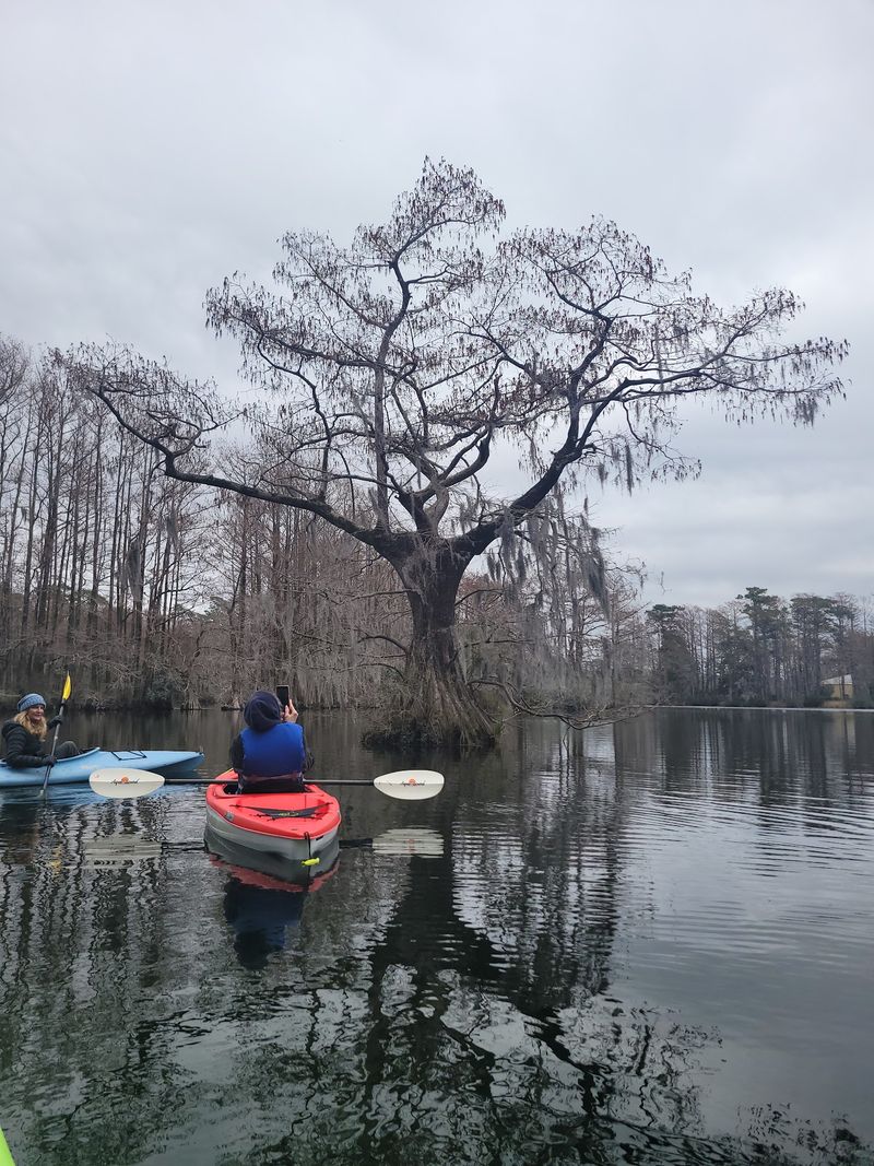 This North Carolina Kayaking Adventure Takes You Across A Lake Where Wild Alligators Roam - Decor Hint Young Explorers Get Their Own Summer Camps