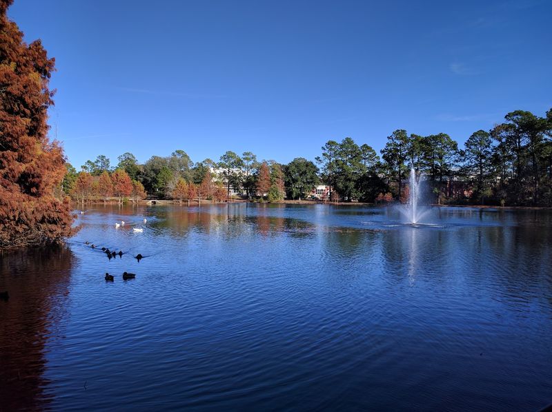 Savannah Beaches And Big Cities Are Within Easy Reach