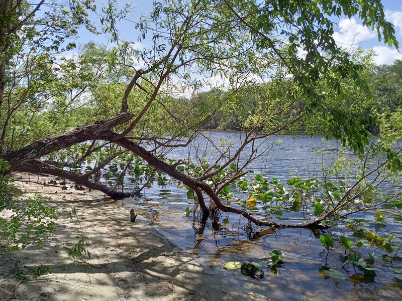Paddles, Trails, And Quiet Shorelines