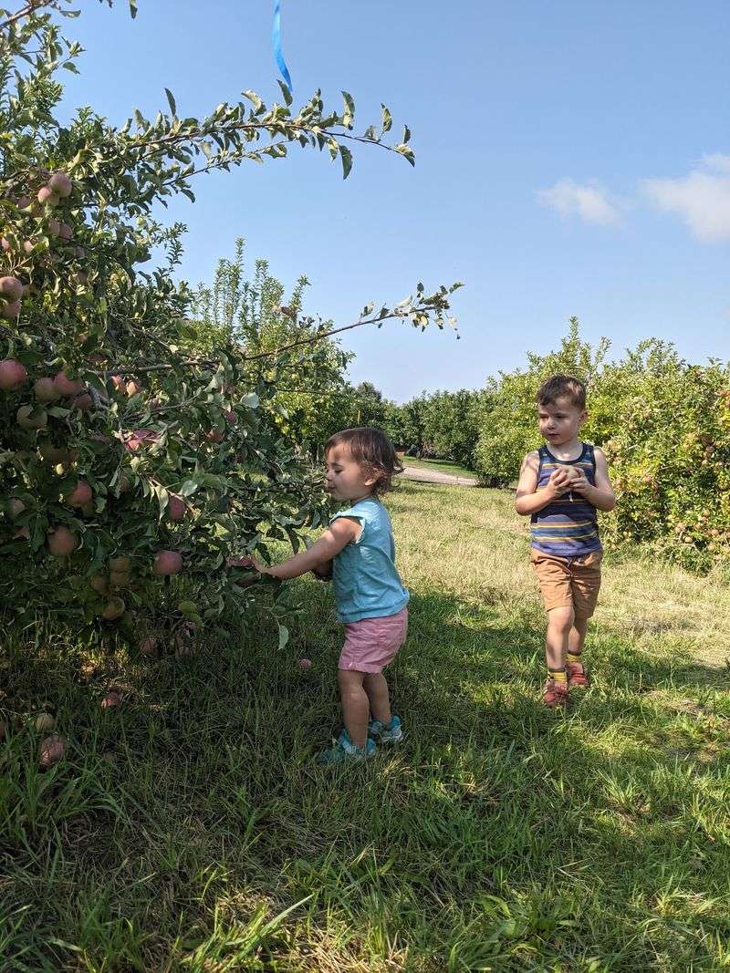 Tylers Rocky Point Orchard In Emmett