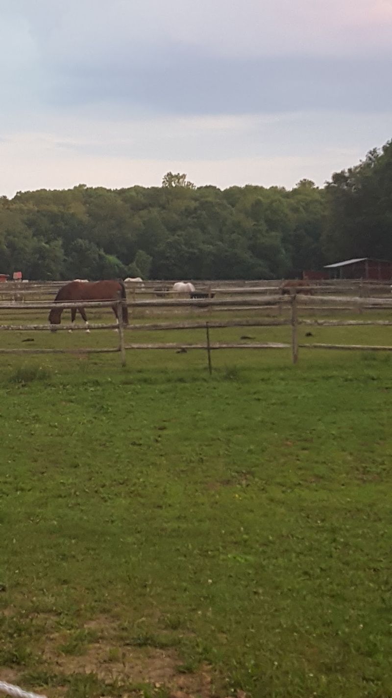 Riding Sessions Offer Much More Than Time In The Saddle