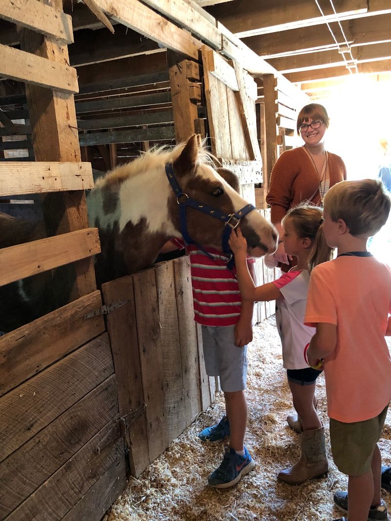 This Georgia Country Fair Fills A Historic Mill With Handmade Crafts And Fall Favorites - Decor Hint A Quiet Trail Beyond The Busy Booths