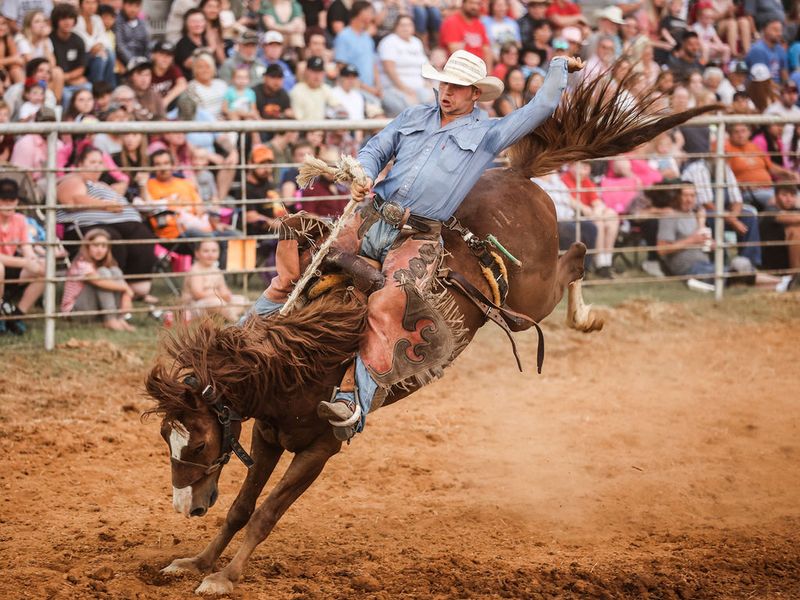 Georgia’s Long-Running Rodeo Tradition Is Hiding In A Small Rural Town - Decor Hint A Tradition That Started Back In 1980