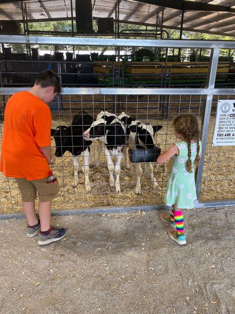 Goats, Pigs, And A Peek Into 1900