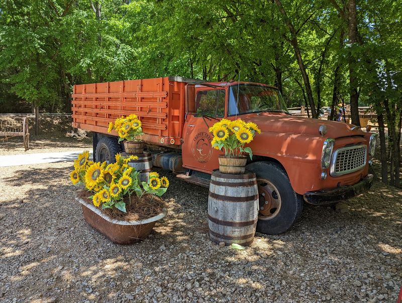 Hayrides With A View Of The Mountains