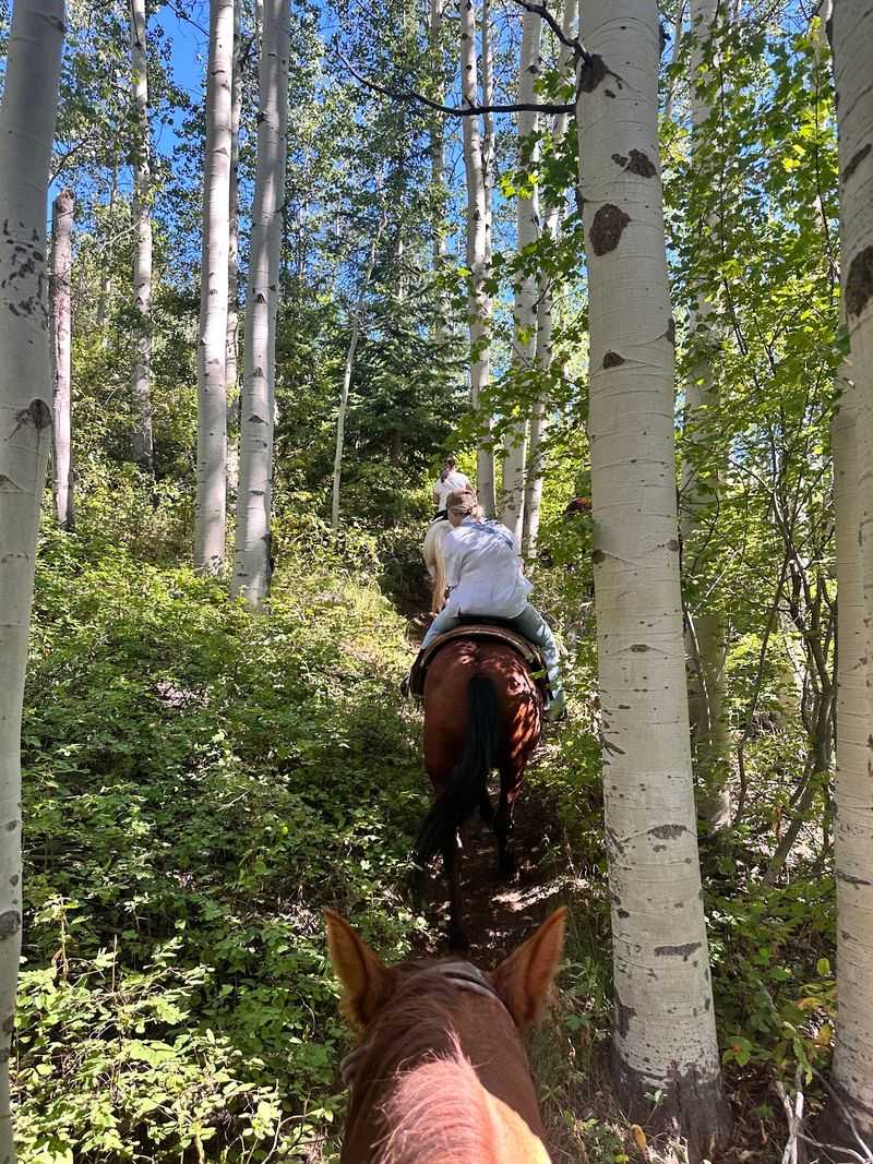 Why This Little Ranch Belongs On Your Idaho List