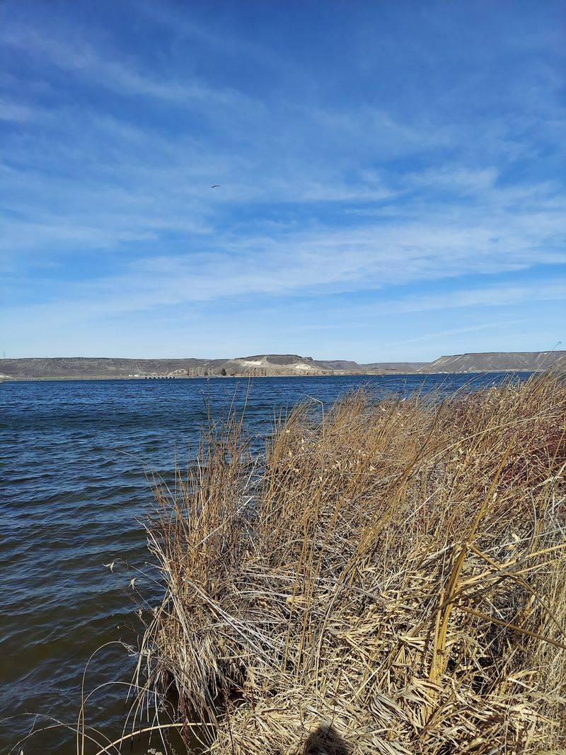Rockhounds Hunt Blue Agate And Petrified Wood Along This Idaho Reservoir Shoreline When Water Drops In Fall - Decor Hint A Fall Trip That Pays Off In Pockets Full Of Stones