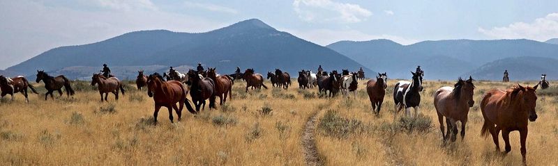 This Idaho Ranch Pairs A Fast Ride Herding About 40 Horses With A Homemade Treat Waiting Afterward - Decor Hint A Ride Worth Every Mile And Every Crumb