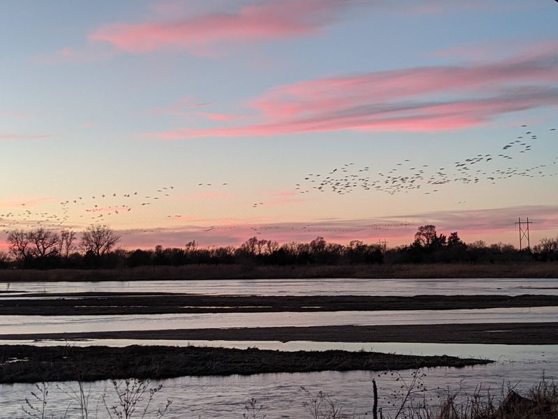 Over 400,000 Sandhill Cranes Roost At This Nebraska Sanctuary And Viewing Blinds Book Up By Winter - Decor Hint A Spring Ritual Worth Setting Your Alarm For