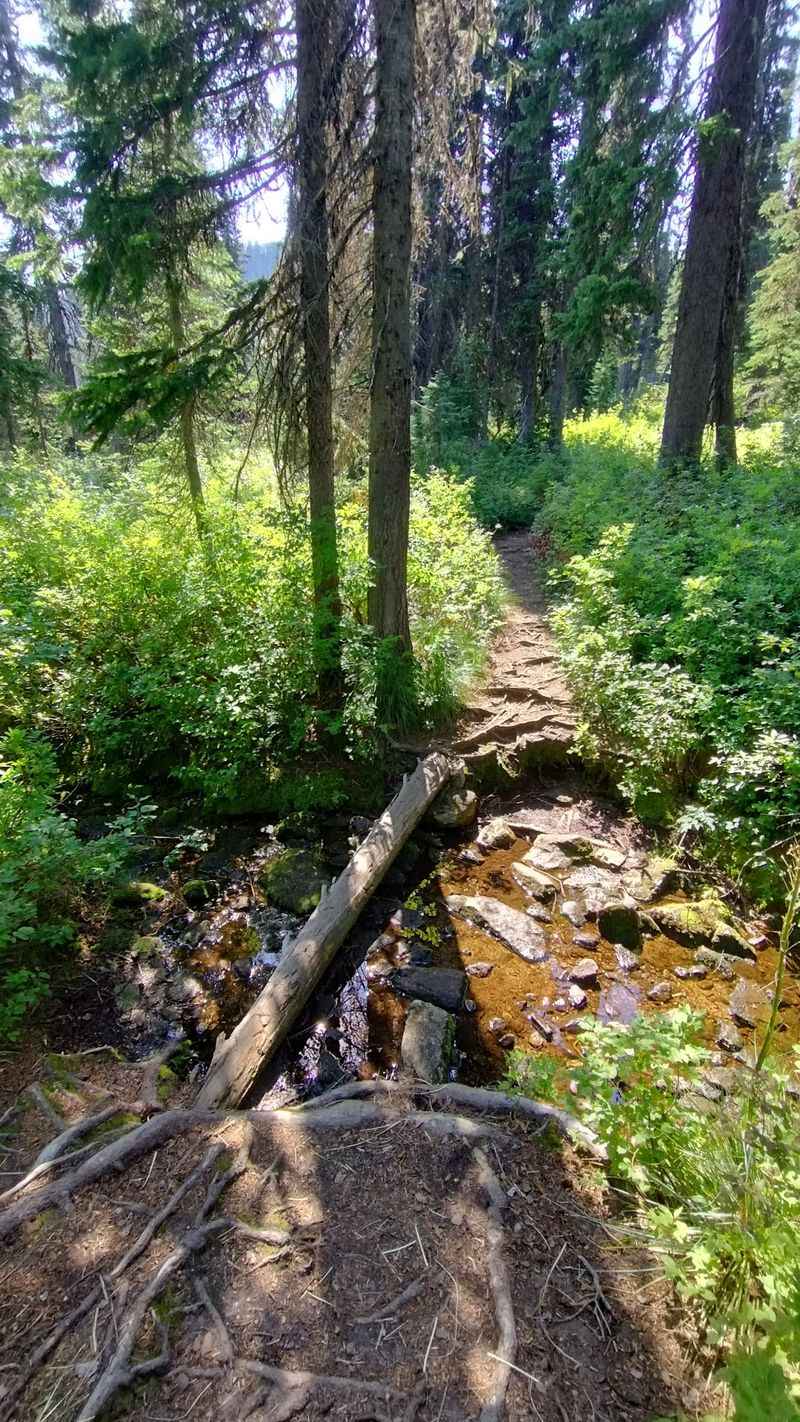 The 4-Mile Idaho Trail That Climbs Granite To Reach An Alpine Lake In The Selkirks - Decor Hint Cool Forest Miles Before The Grind