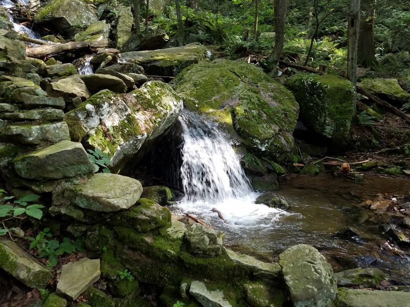 Why A Pocketful Of Shale Makes The Perfect Souvenir