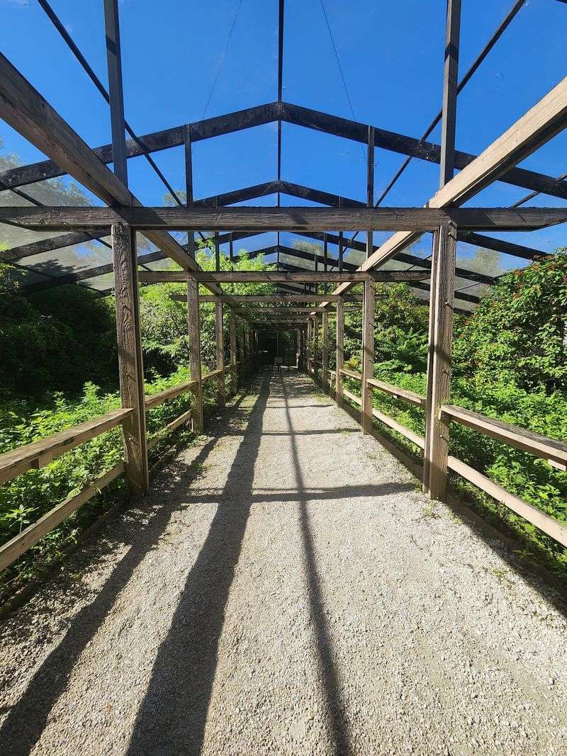 Room for Strollers, Wheelchairs and Junior Naturalists