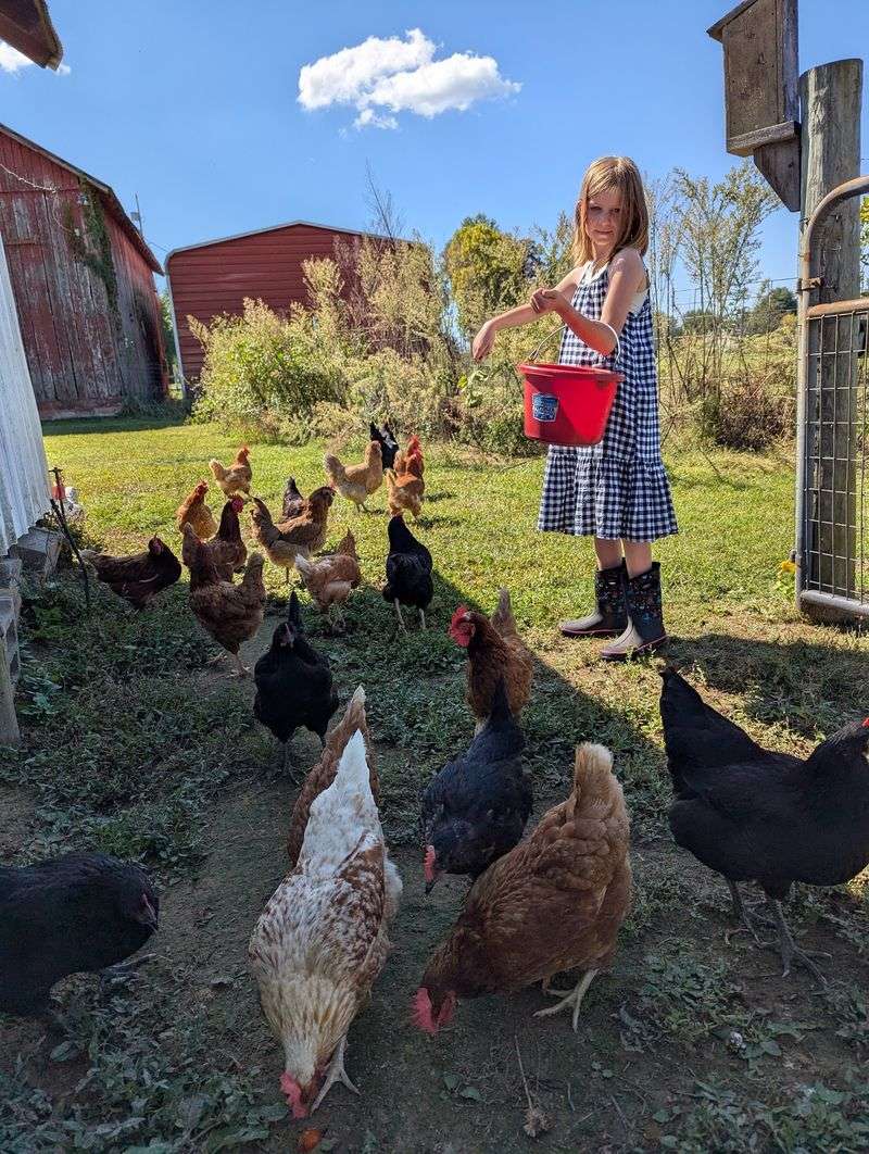 Mud Kitchens, Tree Webs, And Fresh Eggs