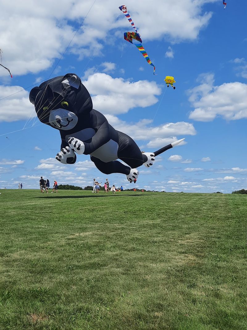 A Giant Teddy Bear Kite Will Float Above Long Island Sound