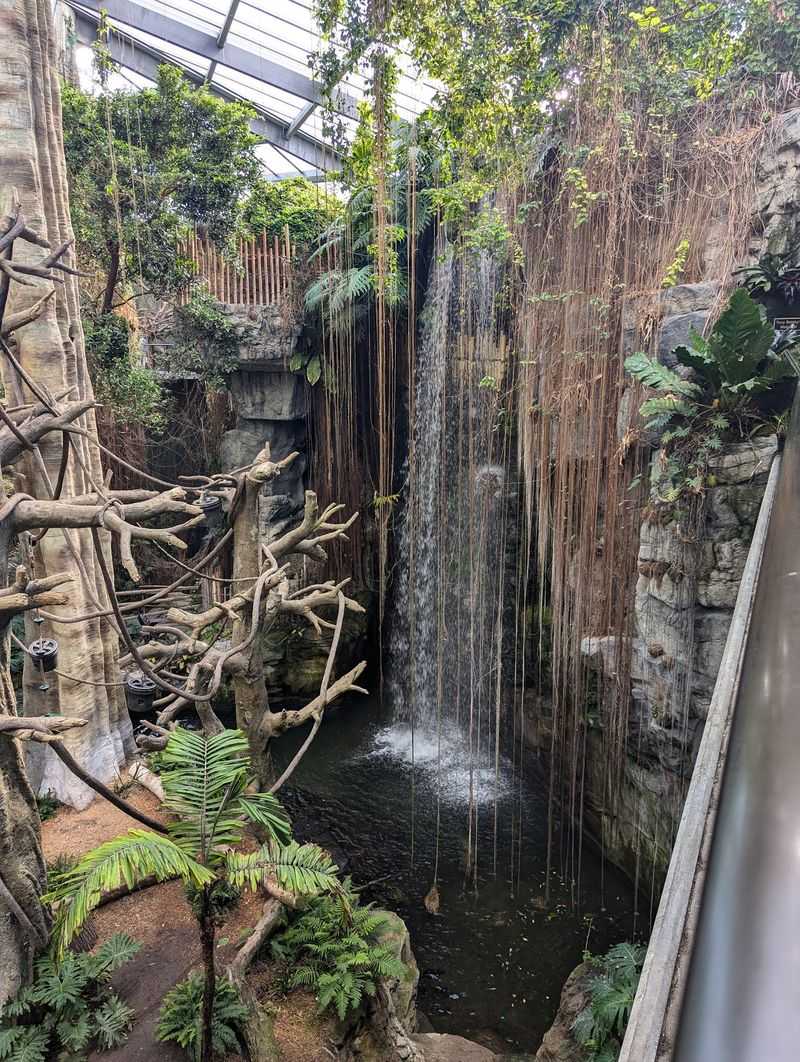 Six Waterfalls Doing All The Talking