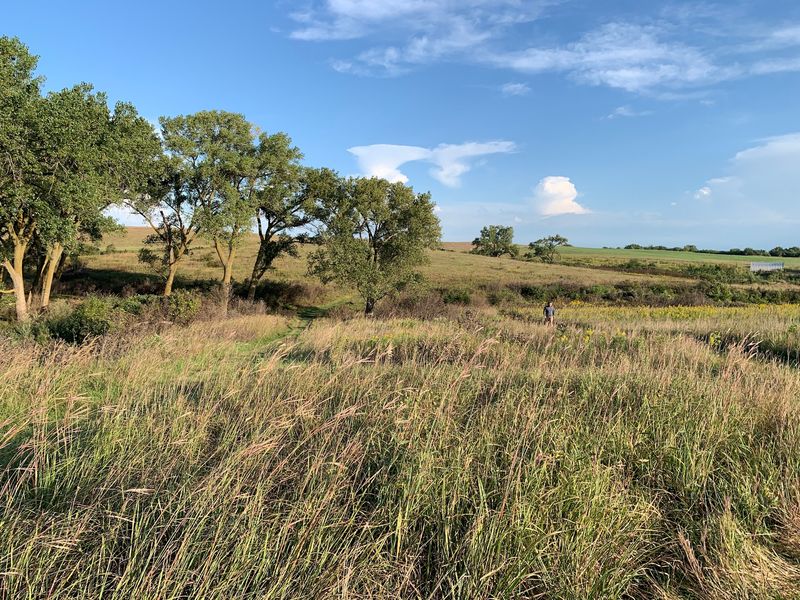 Real Pioneer Wagon Ruts Still Groove The Hillsides