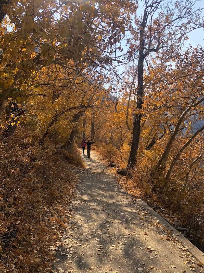 Gentle Terrain Keeps The Pace Easy