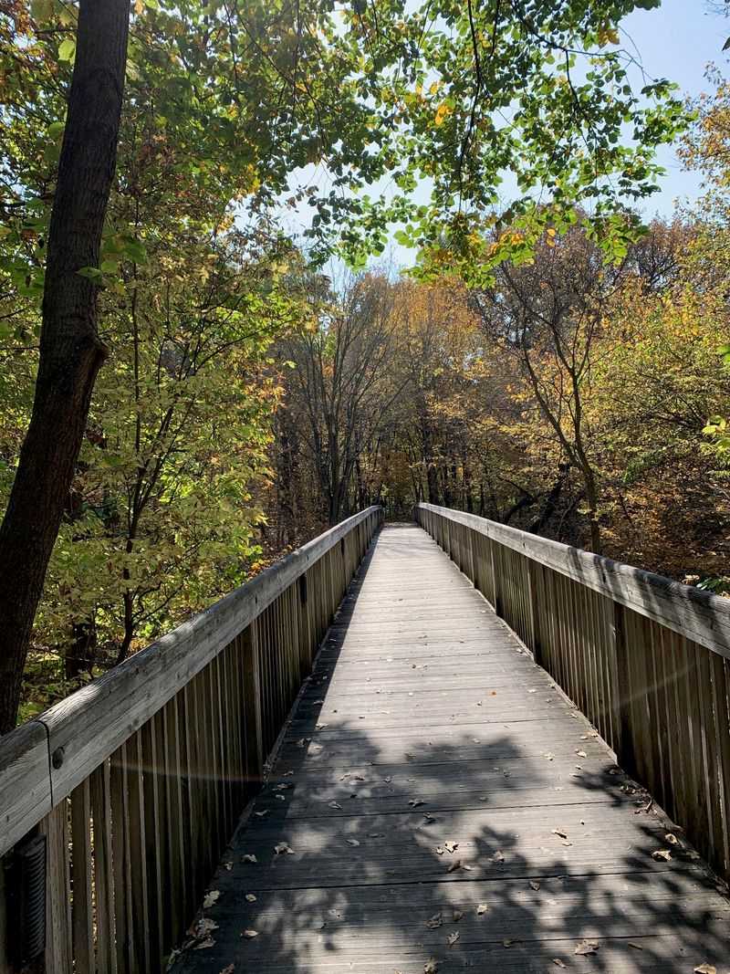 Is The Arbor Day Celebration Really Nebraska's Gift To The World Since This 1872 Farm Started It - Decor Hint Carriage House, Log Cabin And Quiet Walking Paths
