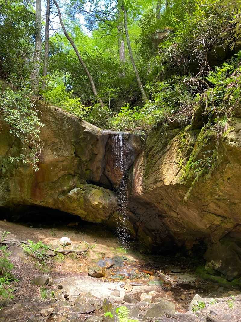 Kentucky's First State Park Is Easy To Find