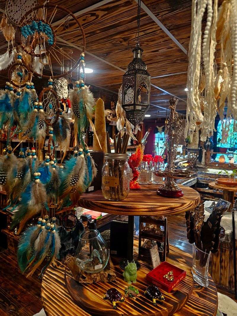Unusual Curiosities And Mysterious Displays