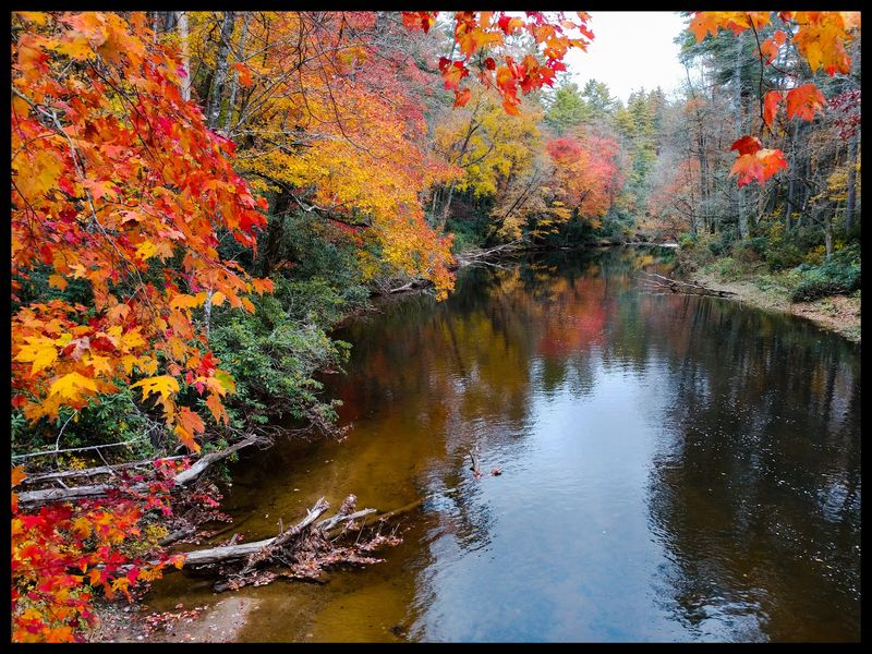 This North Carolina Waterfall Is Surrounded By Brilliant Fall Colors Right Now, And The Views Are Worth The Hike - Decor Hint Plan Ahead, Because Some Things Are Still Rebuilding