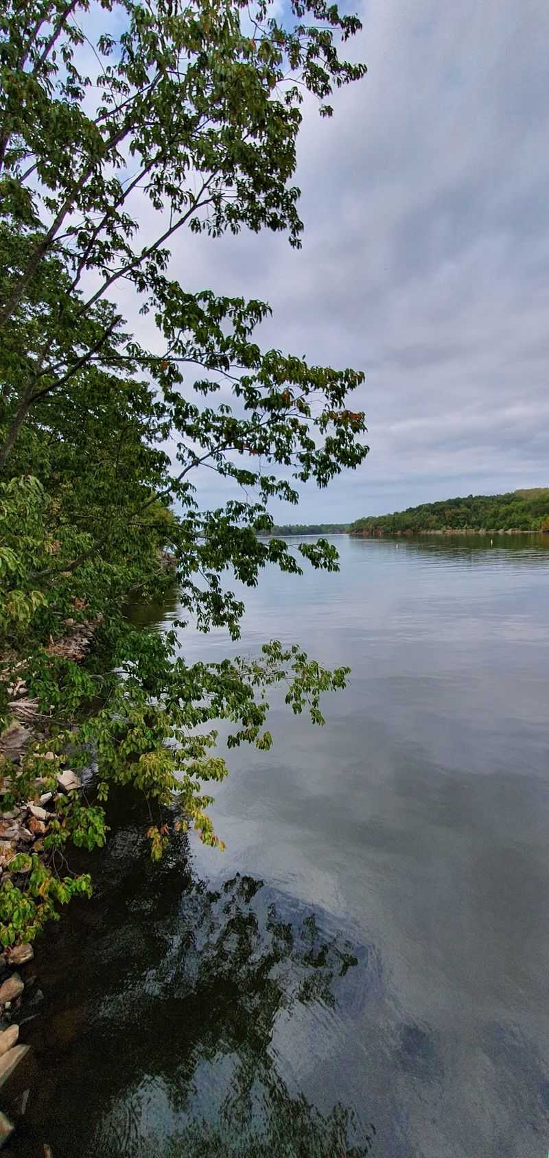 Water Quality Is The Bigger Story Behind The Weeds