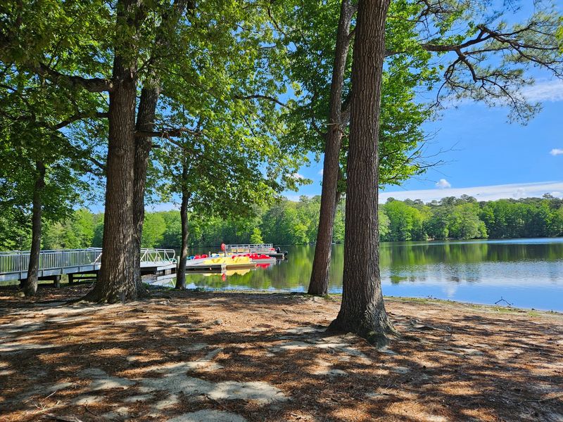Let Someone Else Steer On A Fall Pontoon Tour