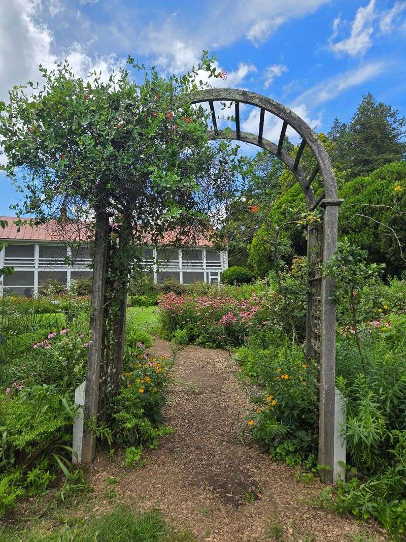 10 Virginia Bird Sanctuaries Where A Quiet Morning Can Turn Into Something Unforgettable - Decor Hint State Arboretum Of Virginia At Blandy Experimental Farm, Boyce