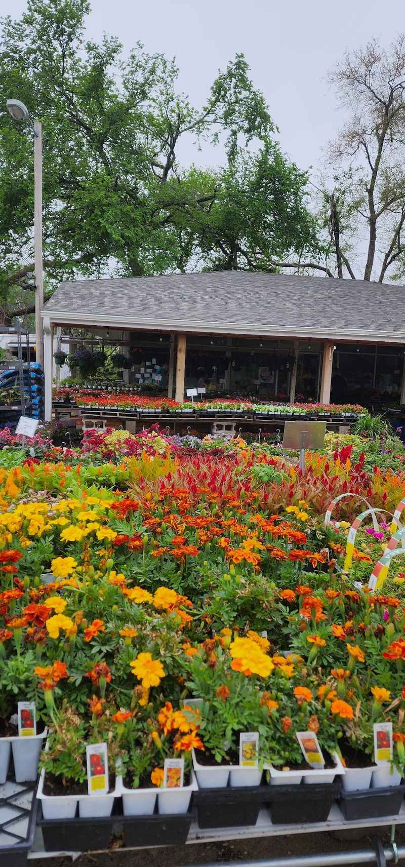 Cirian's Farmers Drive-In Market