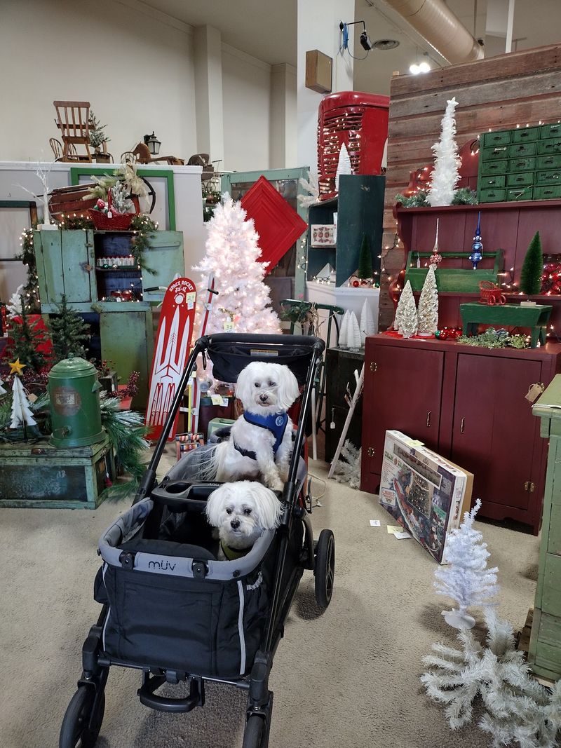 Holiday Decorations That Could Fill A Sleigh Or Three