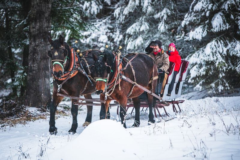 Sleigh Rides And Prime Rib Turn Winter Into The Main Event