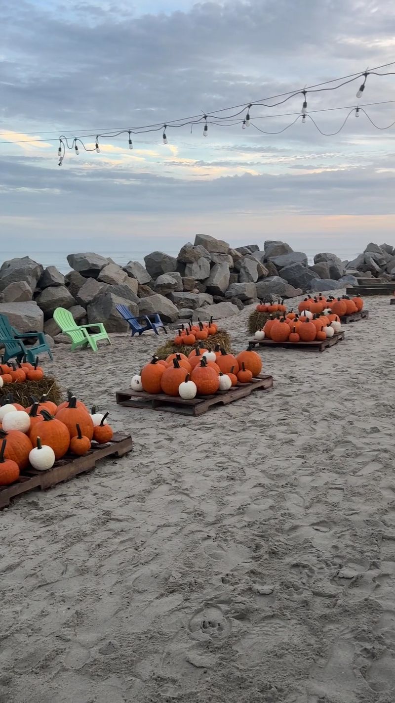 Live Music Keeps The Sand Humming Every Week