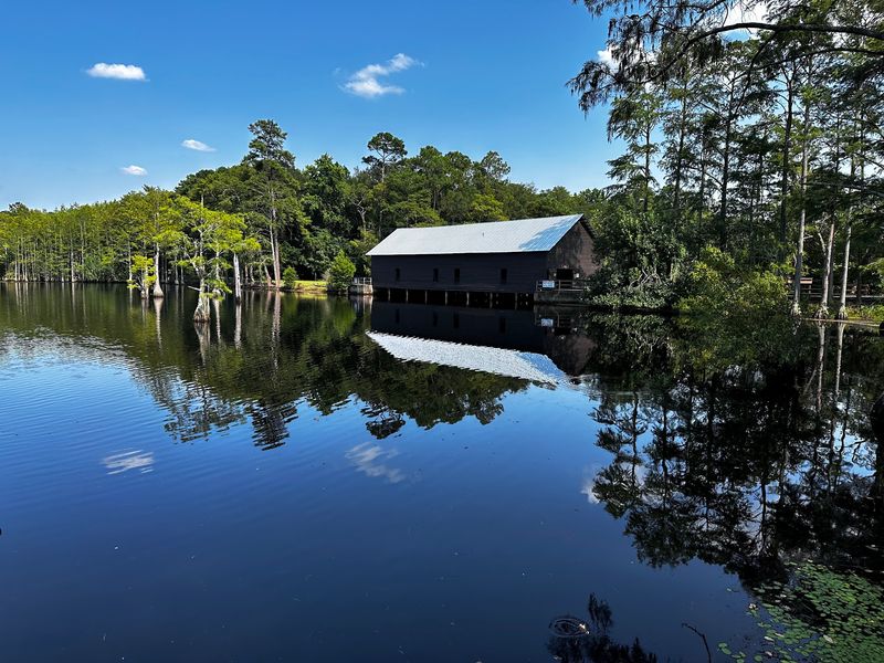 George L. Smith State Park