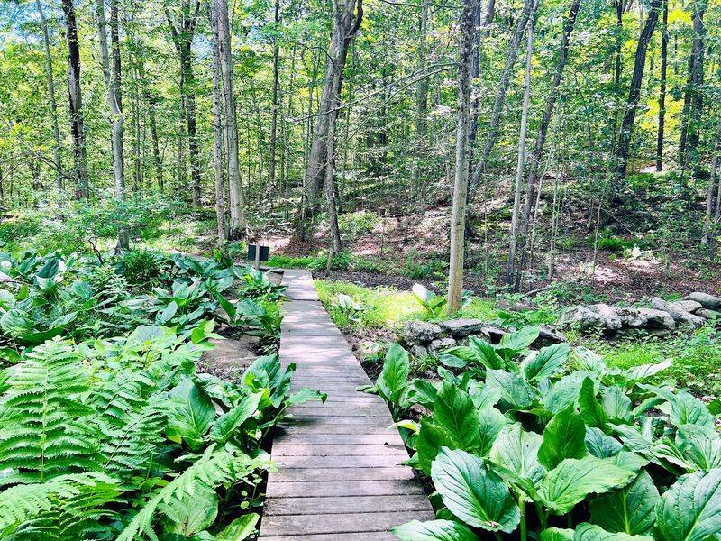 9 Connecticut Places Where Tick Populations Are Highest This Fall - Decor Hint Greenwich Audubon Center