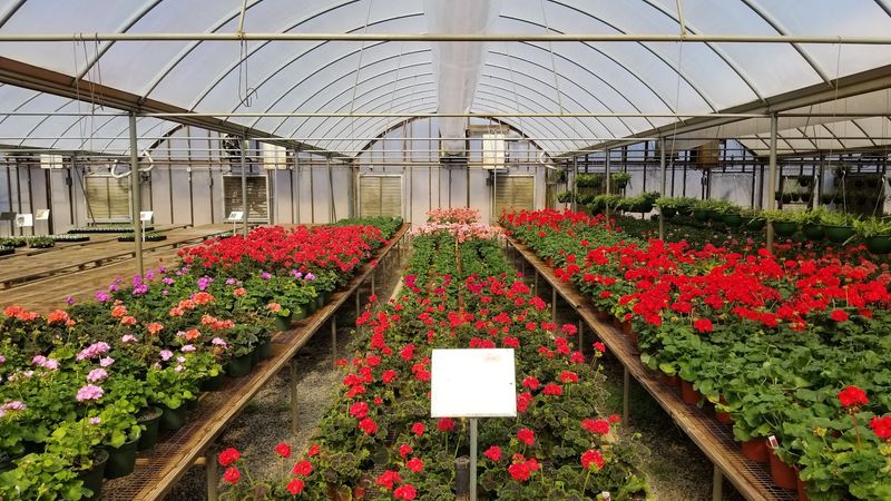 Old-School Roots With Award-Winning New Ideas