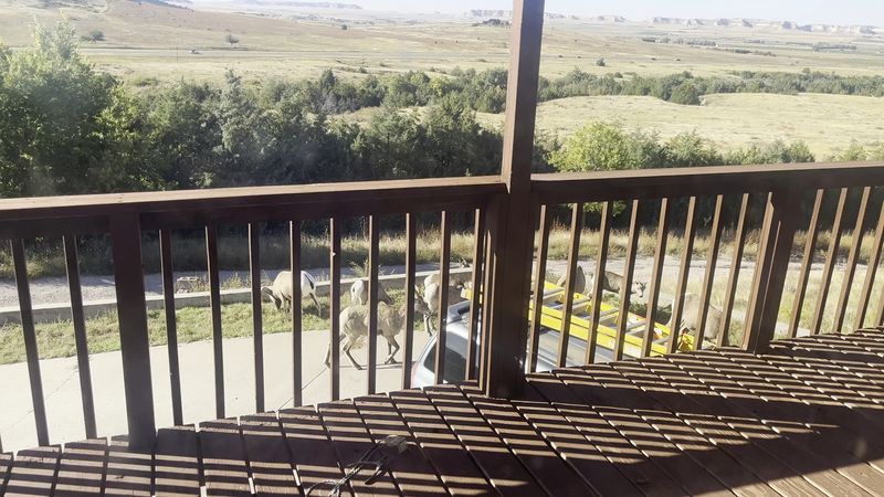 That Observation Deck Steals The Whole Show