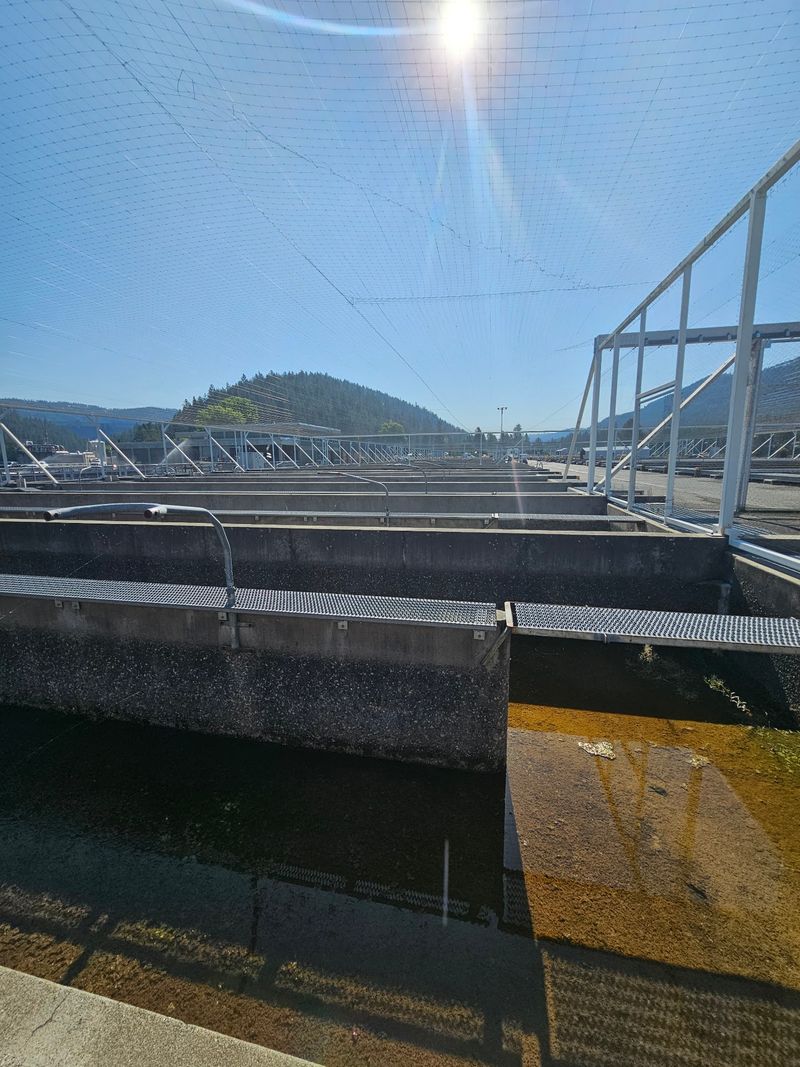 Dworshak National Fish Hatchery