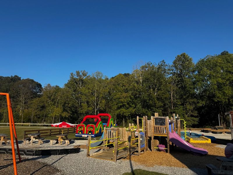 Free Cartoons And A Playground For Little Ones