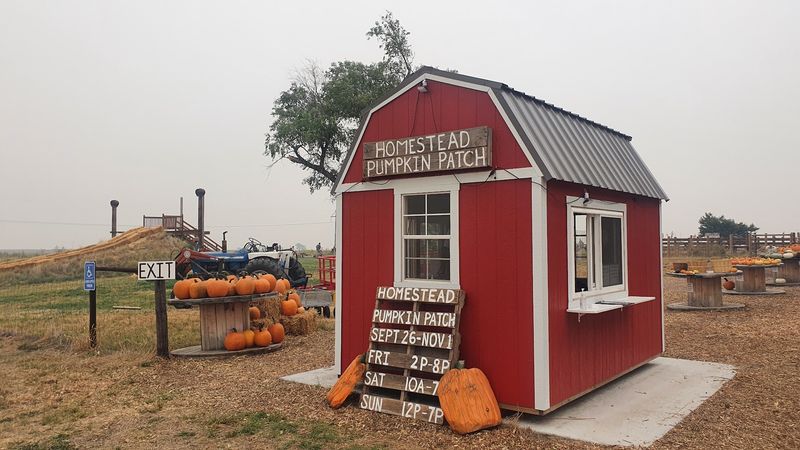 Until Halloween These 8 Nebraska Pumpkin Patches Let You Pick Pumpkins - Decor Hint Homestead Pumpkin Patch
