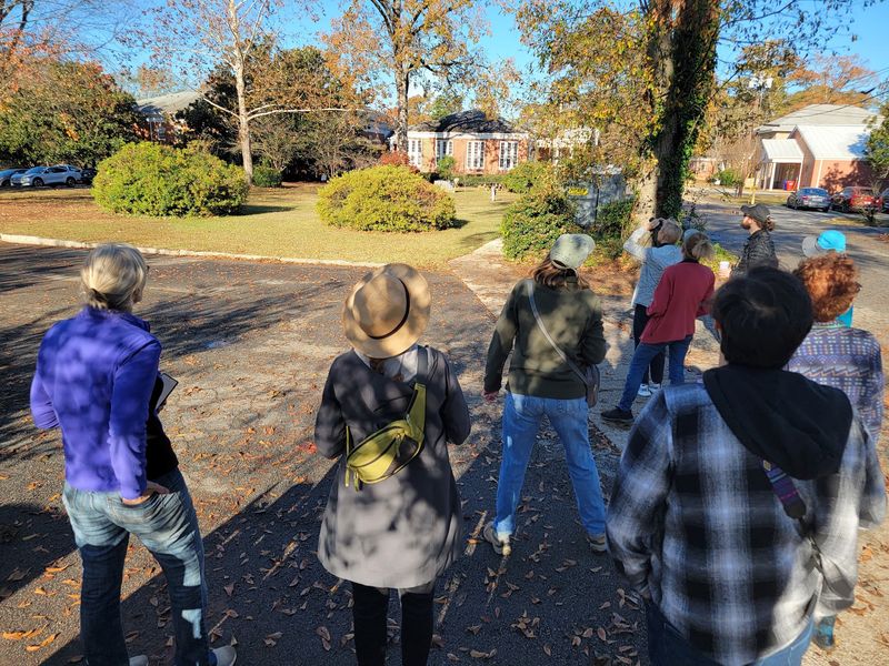 This Georgia Nonprofit Gives Injured Wild Birds A Second Chance At Flying Free - Decor Hint Volunteers Run The Show