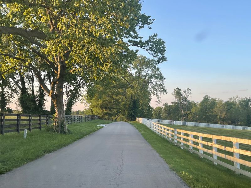 This Kentucky City Ranked Among The Best In The South For 2026, And It Isn’t Louisville - Decor Hint Grab A Bike For A Trail That Ends With Horses