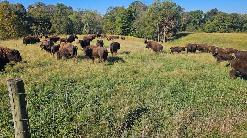 From Farm Fields To Louisville Tables