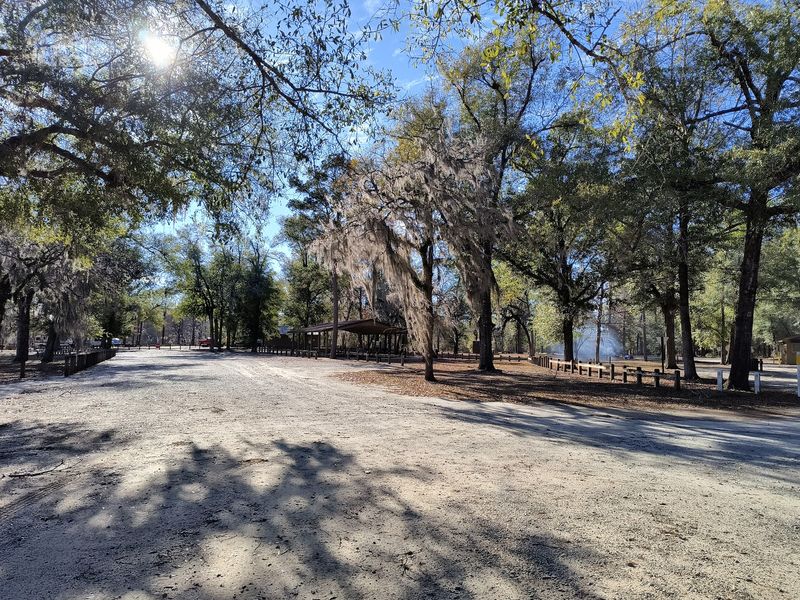 7 First-Come, First-Served Georgia Campgrounds Where You Can Pitch A Tent Without Booking Ahead - Decor Hint Hales Landing Campground