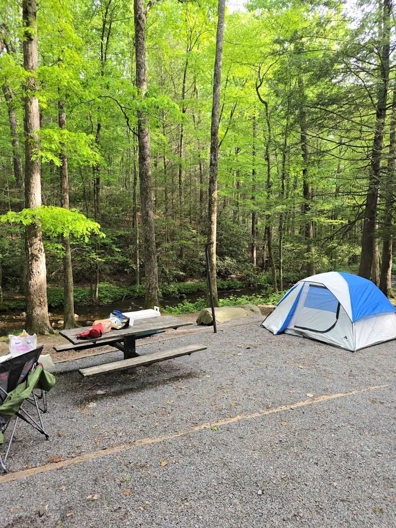7 First-Come, First-Served Georgia Campgrounds Where You Can Pitch A Tent Without Booking Ahead - Decor Hint Hickey Gap Campground