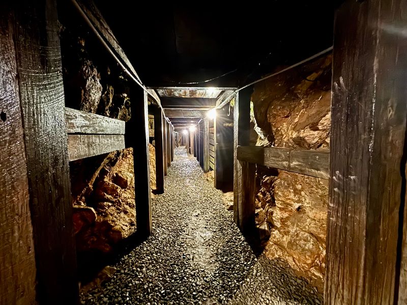 Reed Gold Mine