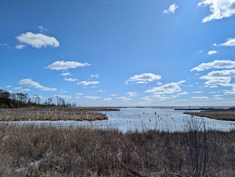 Blackwater National Wildlife Refuge, Cambridge
