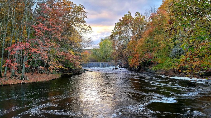 Fall Colors Along The Thames River