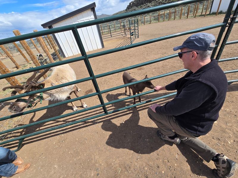 Spring Calves Add A Whole New Reason To Return