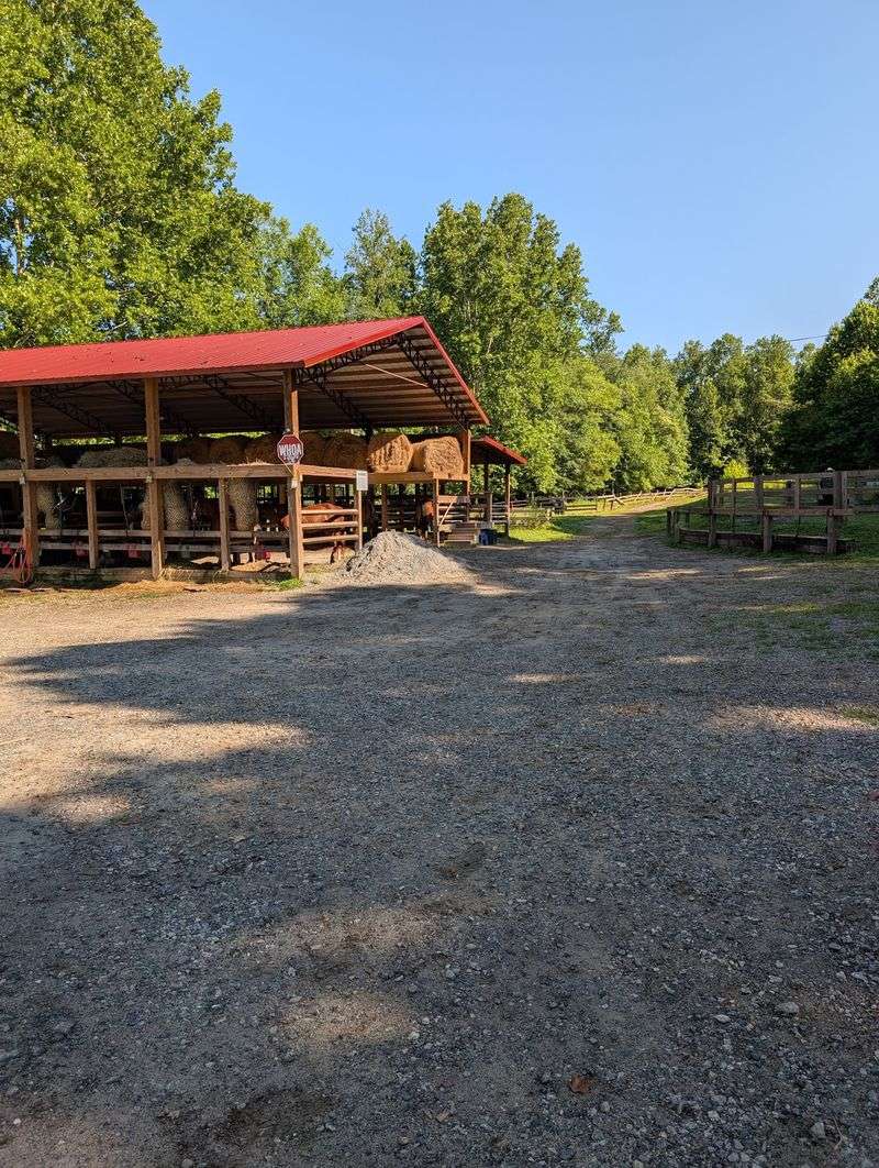 Where To Find The Stables And Make A Day Of It